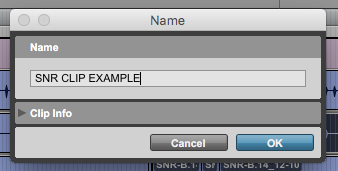 How to Rename Tracks and Clips in Pro Tools